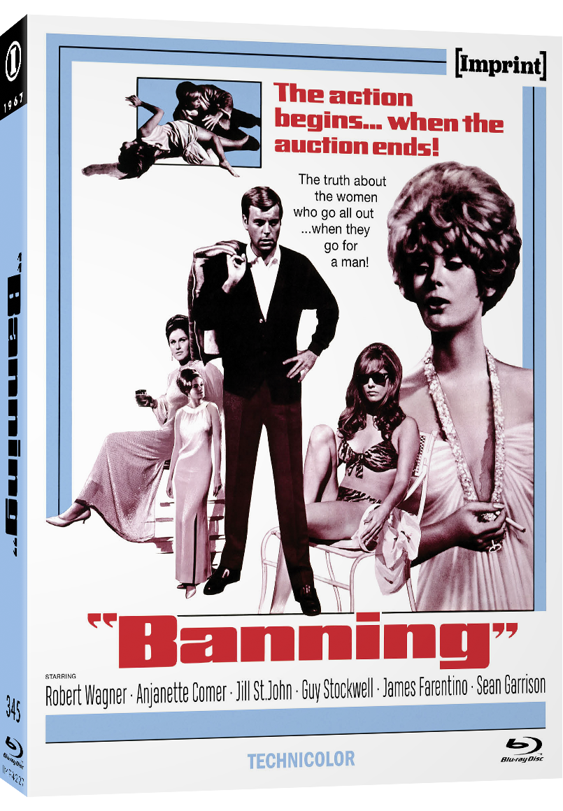 Imp4227 Banning Slip Cover 3d