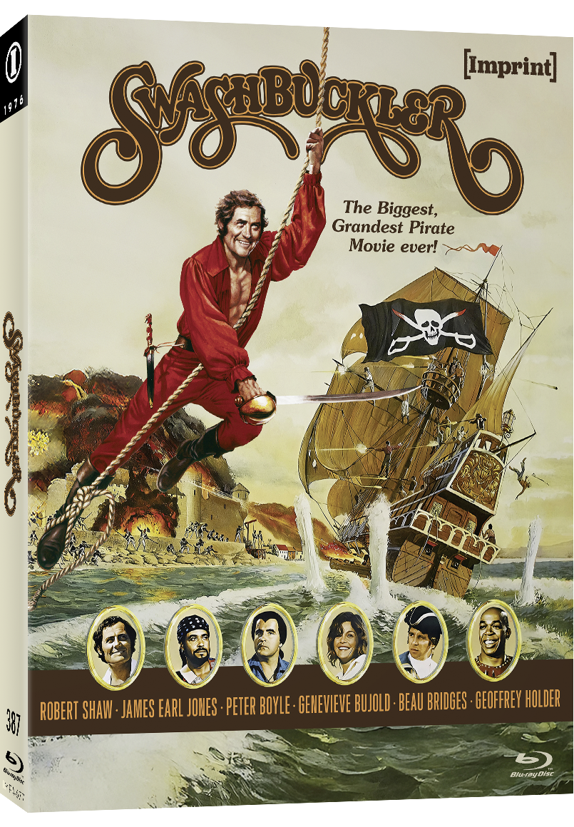 Imp4677 Swashbuckler Slip Cover 3d