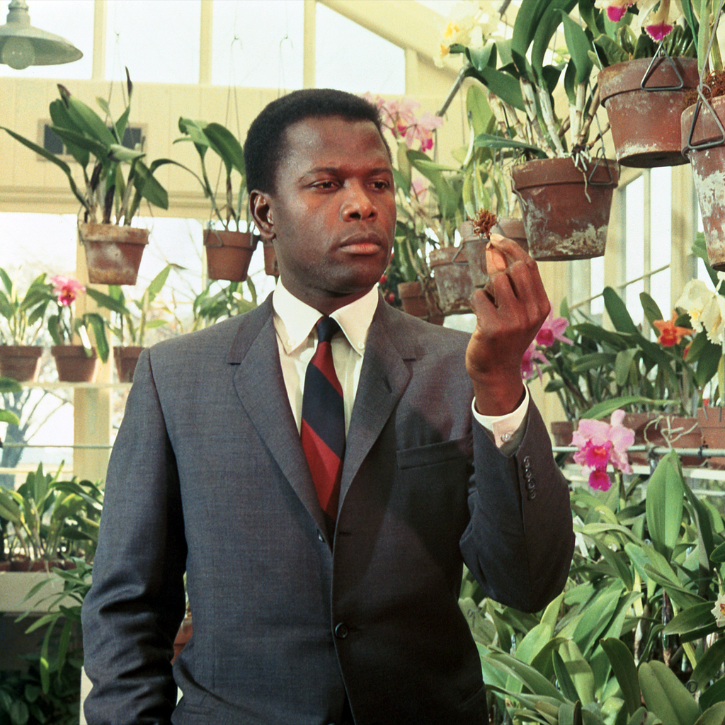 In The Heat Of The Night 04