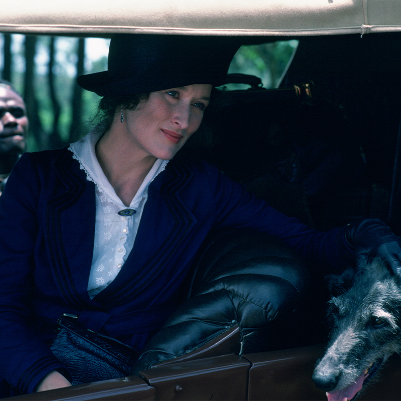 Out Of Africa 02