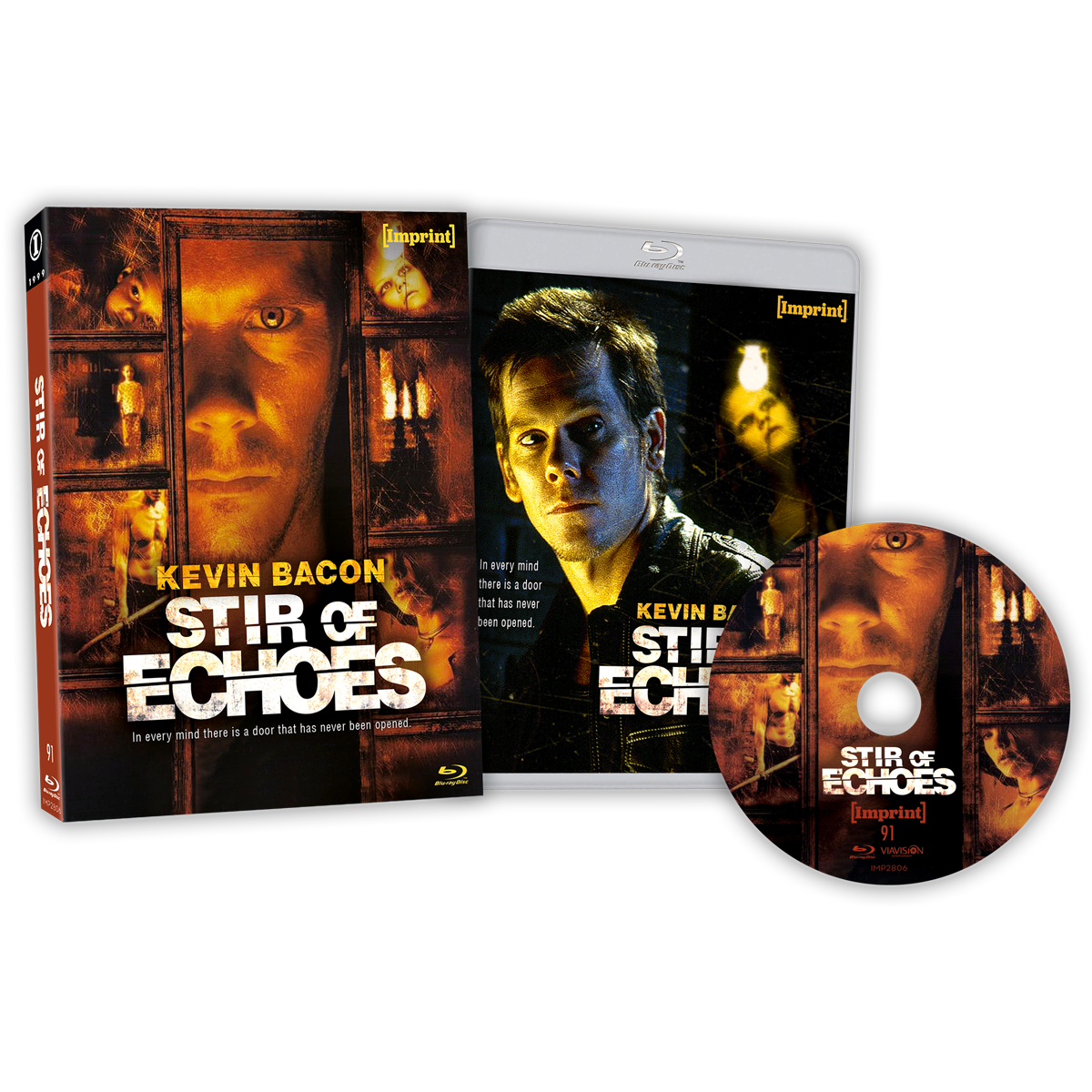 Stir Of Echoes 2