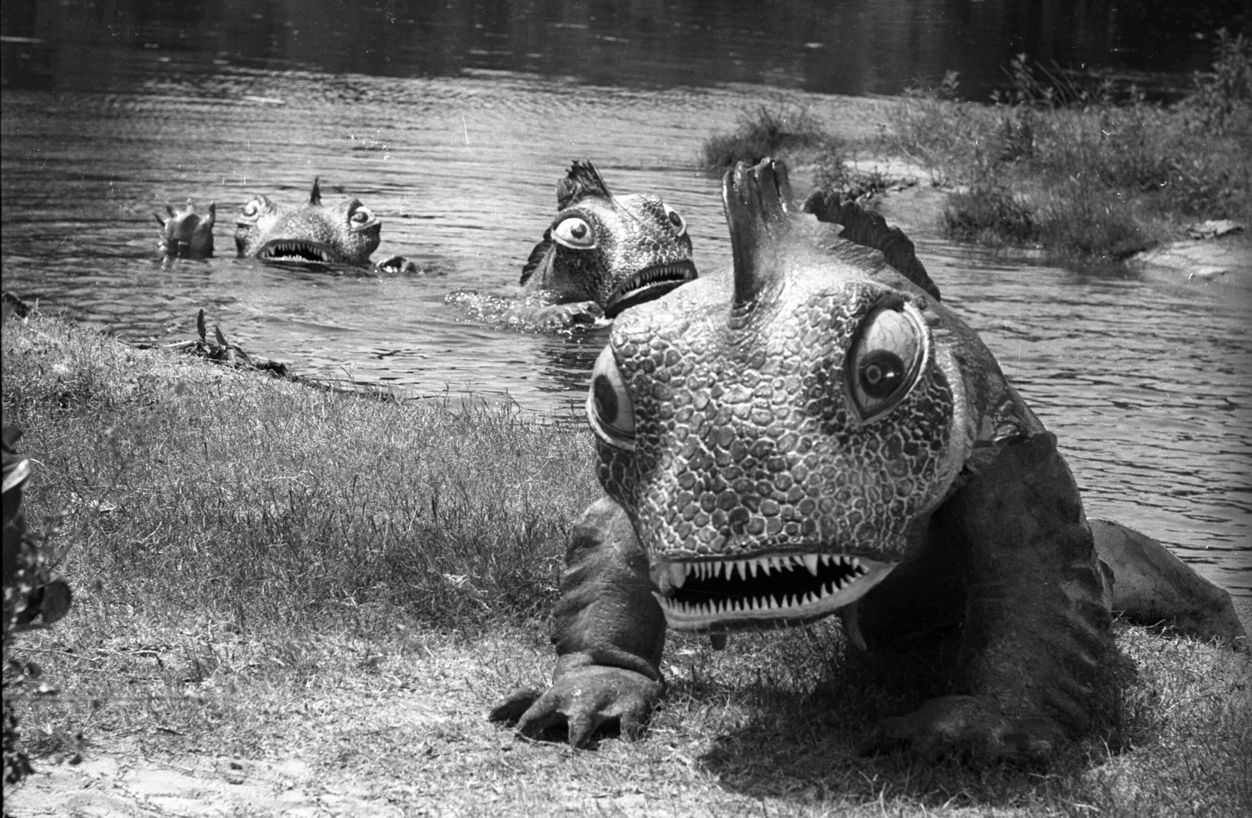 Ichthyosaurs