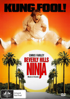 Beverly Hills Ninja Dvd