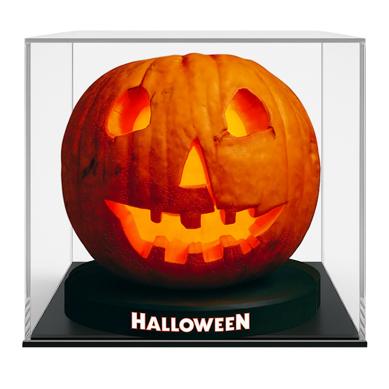 Flicker Export White Background