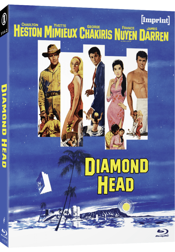 Imp3597 Diamond Head Slip Cover 3d