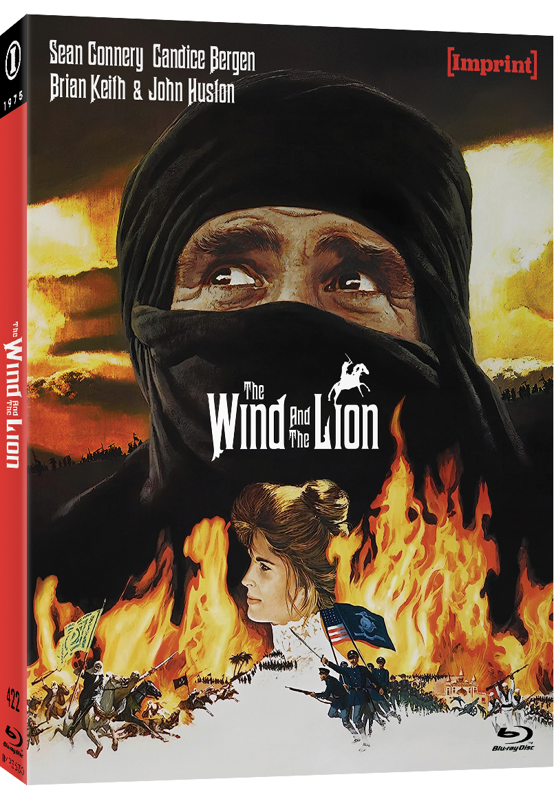 Imp3630 The Wind And The Lion Slip Cover 3d