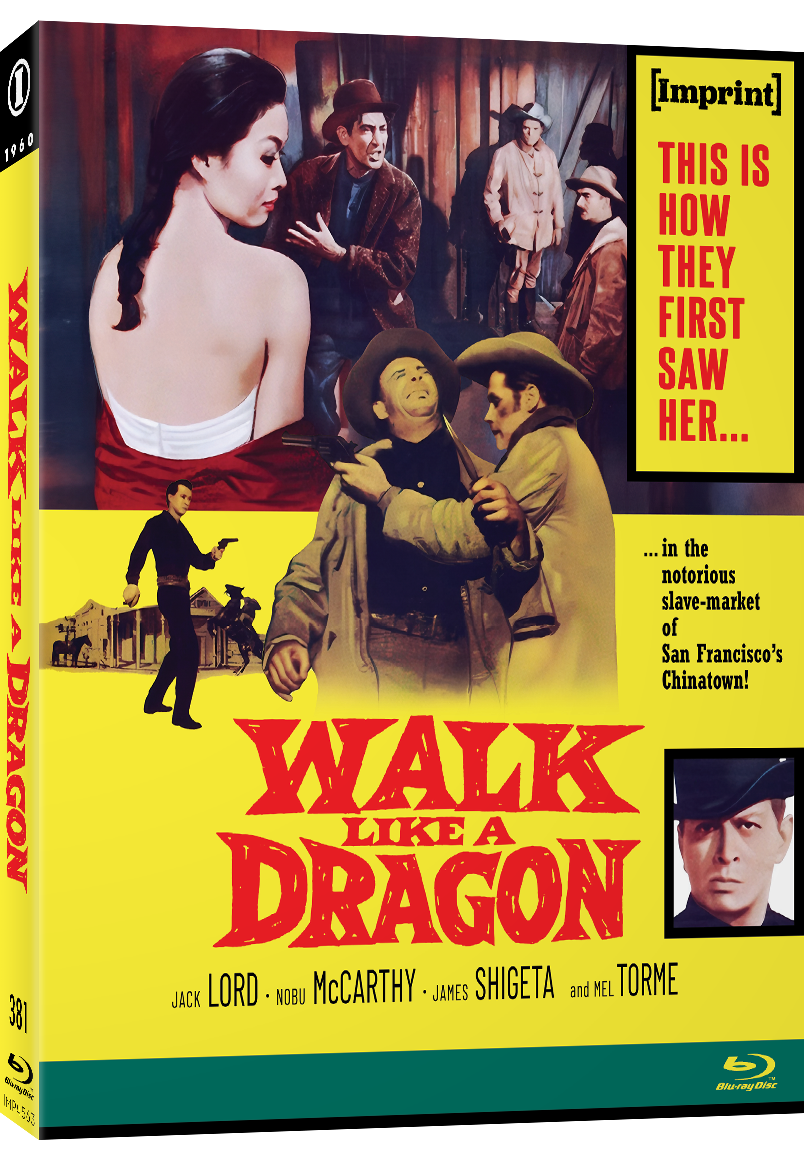 Imp4563 Walk Like A Dragon Slip Cover 3d
