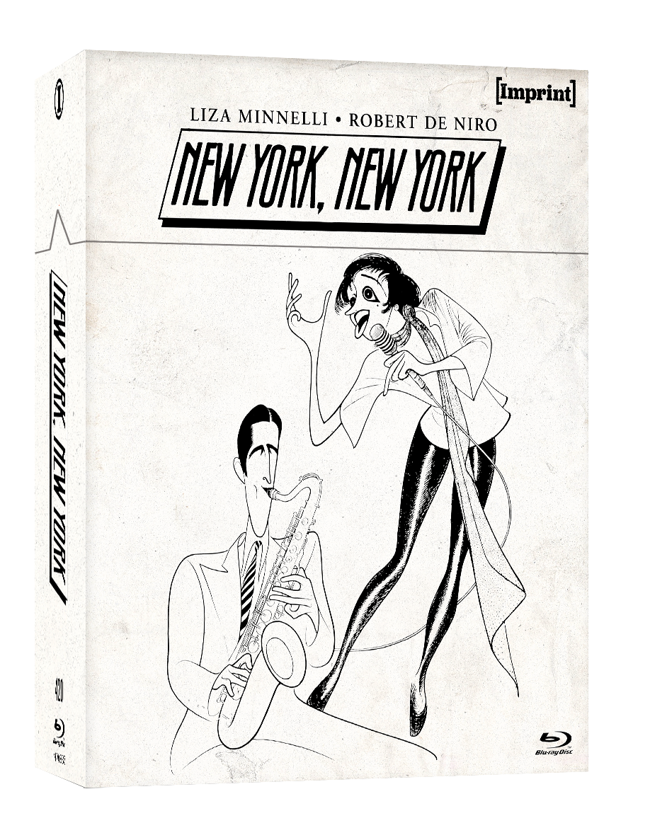 Imp4883 New York New York Box 3d