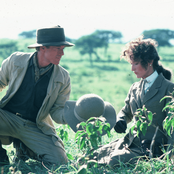 Out Of Africa 04