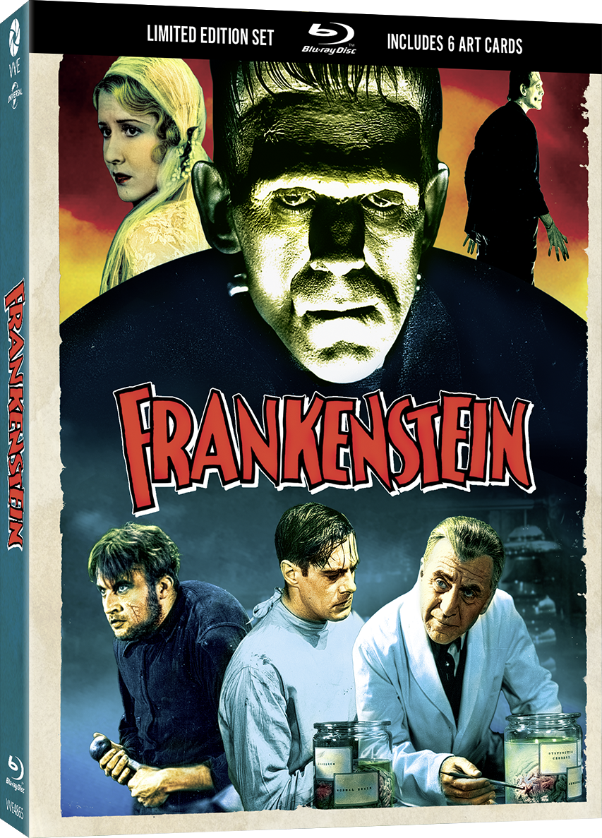 Vve4865 Frankenstein Slipcase 3d